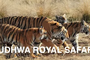 Dudhwa Royal Safari image