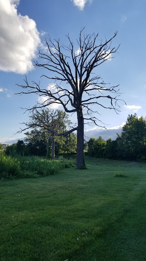 Golf Course «Farview Golf Course», reviews and photos, 2419 Avon Geneseo Rd, Avon, NY 14414, USA