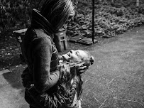 Cliff Etzel - Photographer - Photo 1 - Car repair in , Eugene