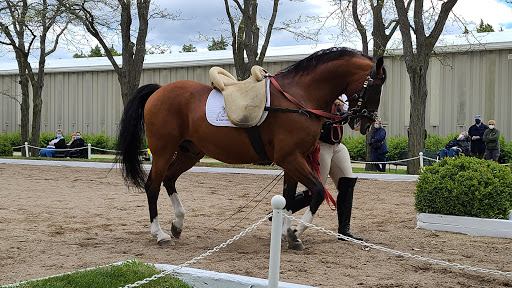 Tourist Attraction «The Tempel Lipizzans», reviews and photos, 17000 W Wadsworth Rd, Old Mill Creek, IL 60083, USA