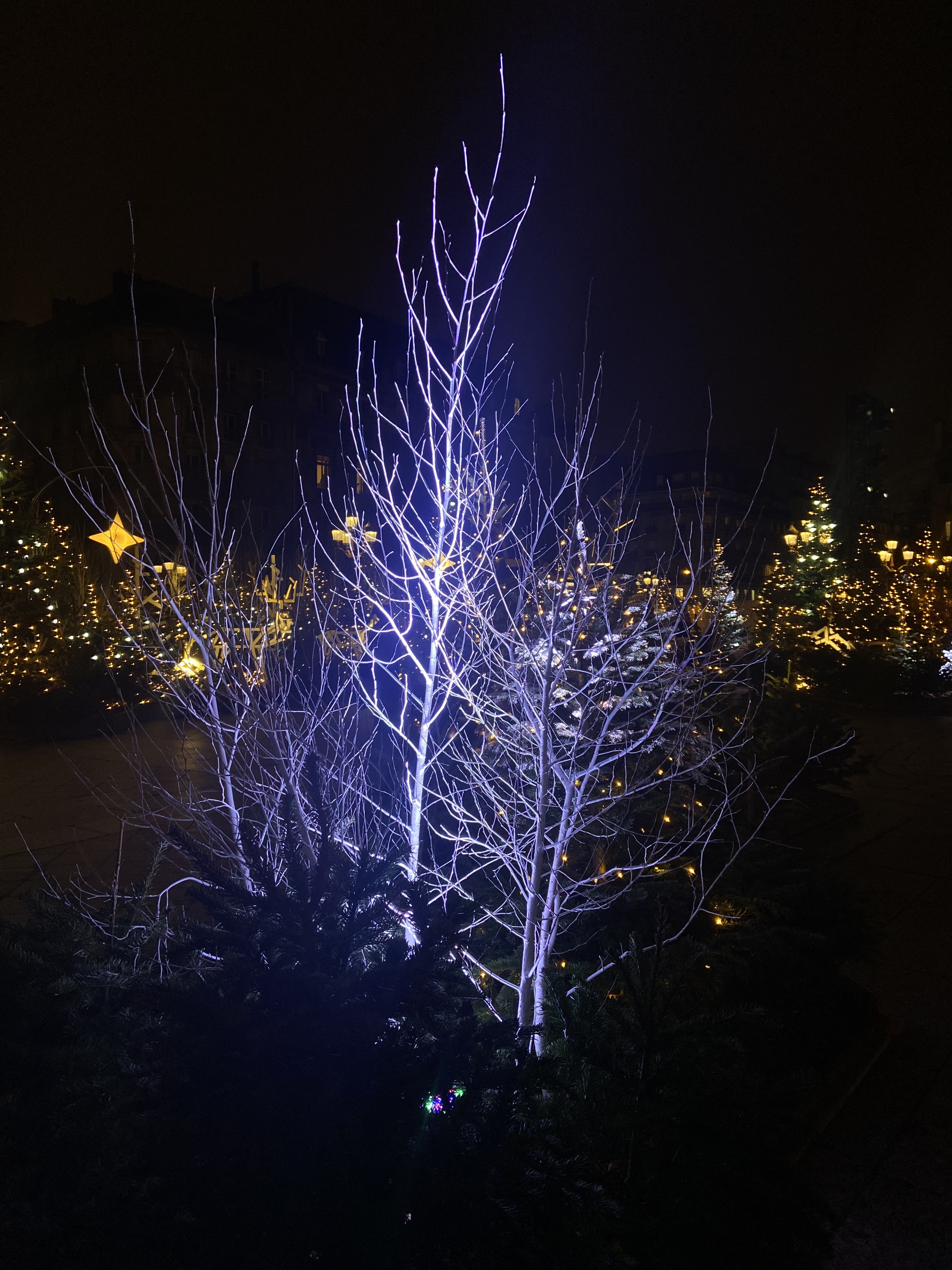 Photo n° 5 de l'avis de deep.h fait le 18/12/2023 à 20:51