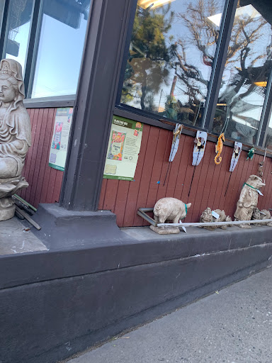 San Gabriel Nursery & Florist, 632 S San Gabriel Blvd, San Gabriel, CA 91776, USA, 