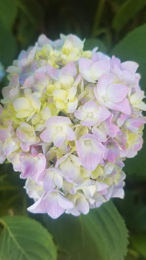 State Government Office «Wilmington State Parks», reviews and photos, 1021 W 18th St, Wilmington, DE 19802, USA