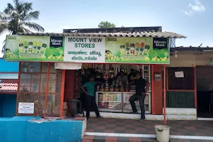 Mount view stores image