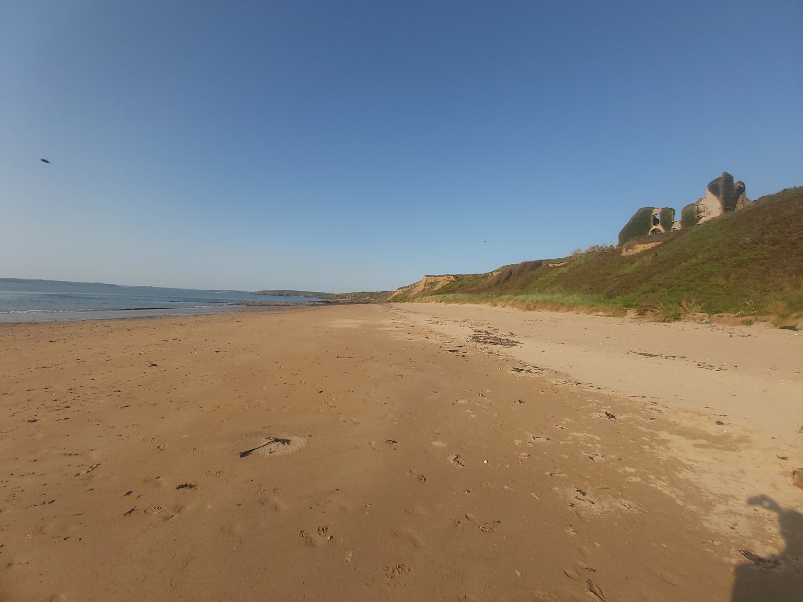 Boyce's Bay Beach'in fotoğrafı turkuaz saf su yüzey ile