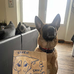 Photo n° 1 de l'avis de Claro. fait le 01/03/2024 à 16:33 pour Maxi Zoo Chantepie à Chantepie