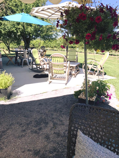 Vineyard «3 North Vines», reviews and photos, 5940 Peck Rd, Croswell, MI 48422, USA