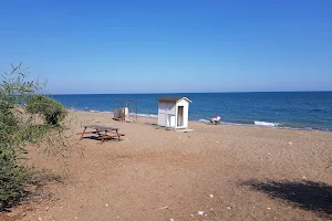 Mersin Yüzüncü Yıl Tabiat Parkı image