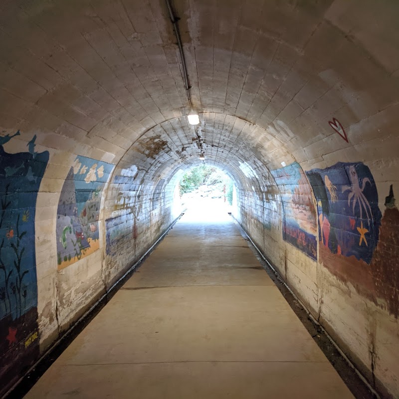 Crystal Cove public access tunnel to public beach.