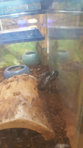 Pet Supply Store «PetSmart», reviews and photos, 11835 Retail Dr, Wake Forest, NC 27587, USA