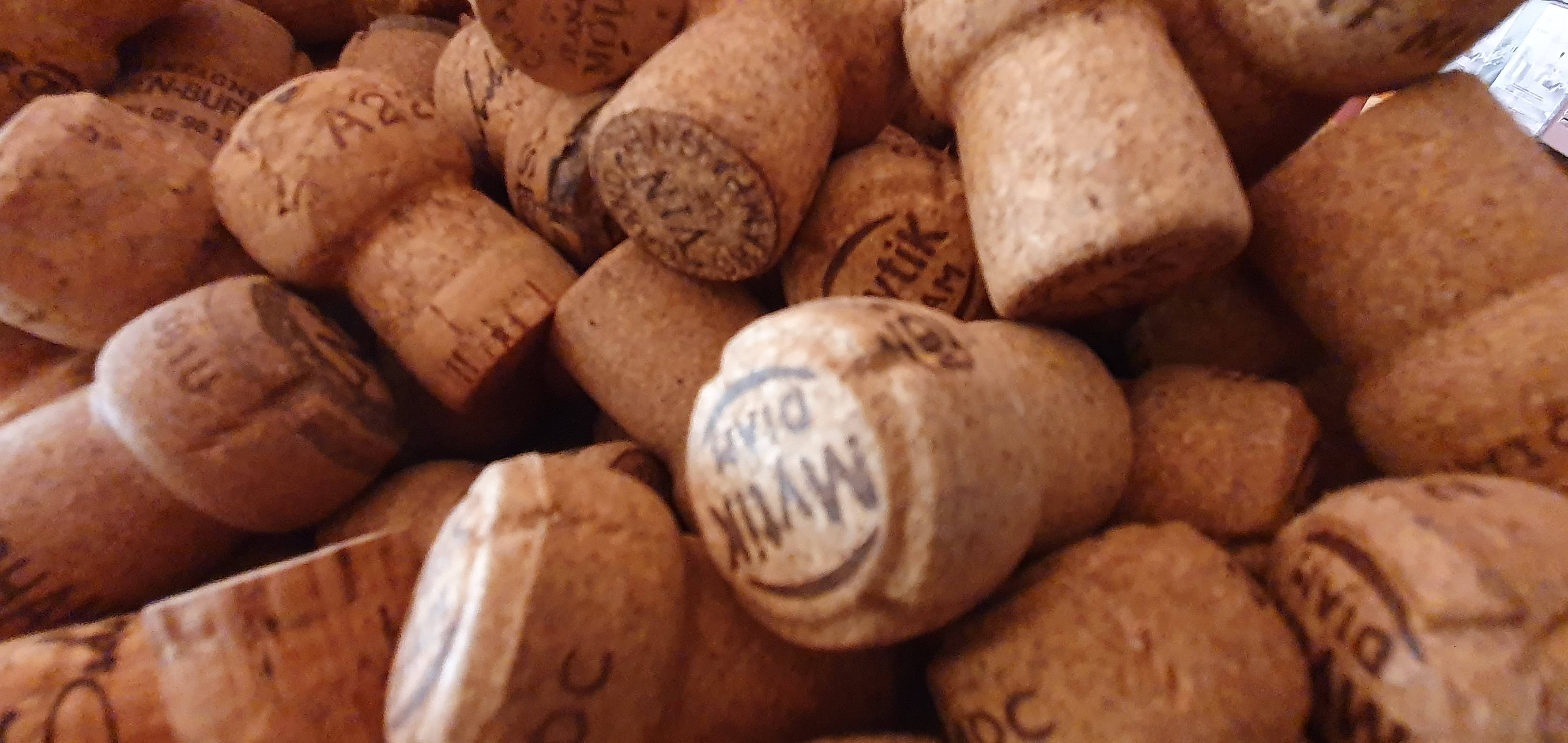 Photo n° 3 de l'avis de Alain.o fait le 25/11/2022 à 08:35