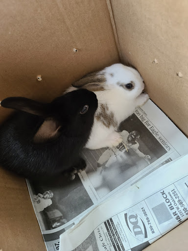 Pet Store «Oasis Tropicals», reviews and photos, 507 Commerce St, Pleasanton, TX 78064, USA