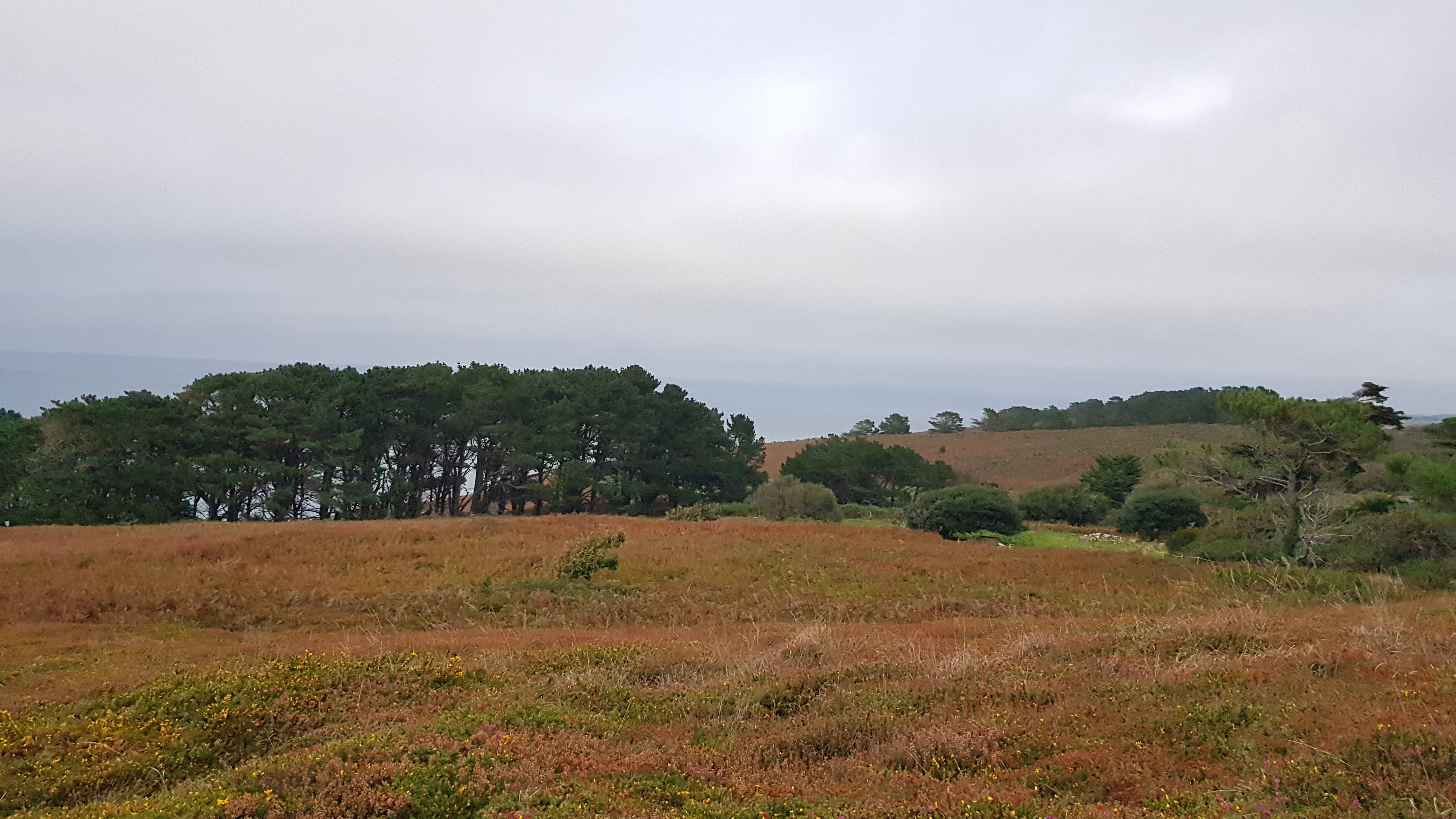 Photo n° 3 de l'avis de Laurence.A fait le 30/09/2023 à 19:16