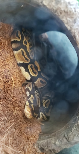 Pet Supply Store «Petco», reviews and photos, 3434 Court St, Pekin, IL 61554, USA