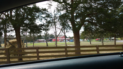 Tourist Attraction «Lucky Ladd Farms», reviews and photos, 4374 Rocky Glade Rd, Eagleville, TN 37060, USA