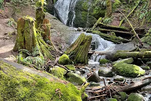 Coal Creek Falls image