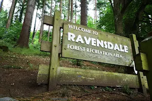 Ravensdale Forest Recreation Area image