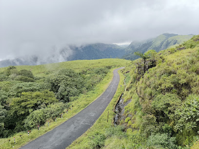 S Valavu - Tourist attraction in Elappally , India