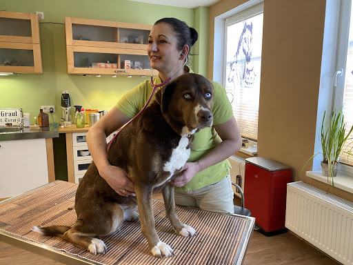 Tierarztpraxis Nicole Herde-Jäckel unter Rüdersdorf, Brandenburg