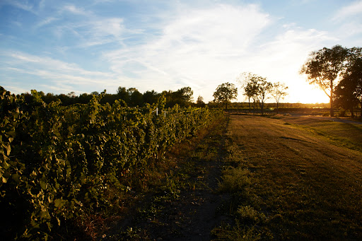 Winery «Hermann J. Wiemer Vineyard», reviews and photos, 3962 NY-14, Dundee, NY 14837, USA