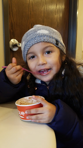 Frozen Yogurt Shop «Peachwave Frozen Yogurt & Gelato», reviews and photos, 6 W 8th St, Holland, MI 49423, USA