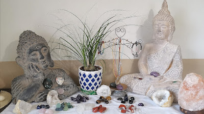 Divinations du chat éveillé à Maylis