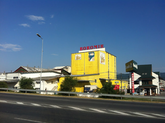 Strada Târgului 2, Rm. Valcea 240485, România