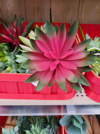 Craft Store «Michaels», reviews and photos, 697 Howe Ave, Cuyahoga Falls, OH 44221, USA