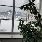 Photo n°11 de l'avis de Anja. fait le 23/06/2022 à 13:50 sur le  Hotel Berwanger Hof à Obermaiselstein