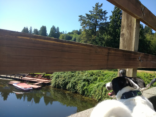 Golf Course «Wayne Public Golf Course», reviews and photos, 16721 96th Ave NE, Bothell, WA 98011, USA