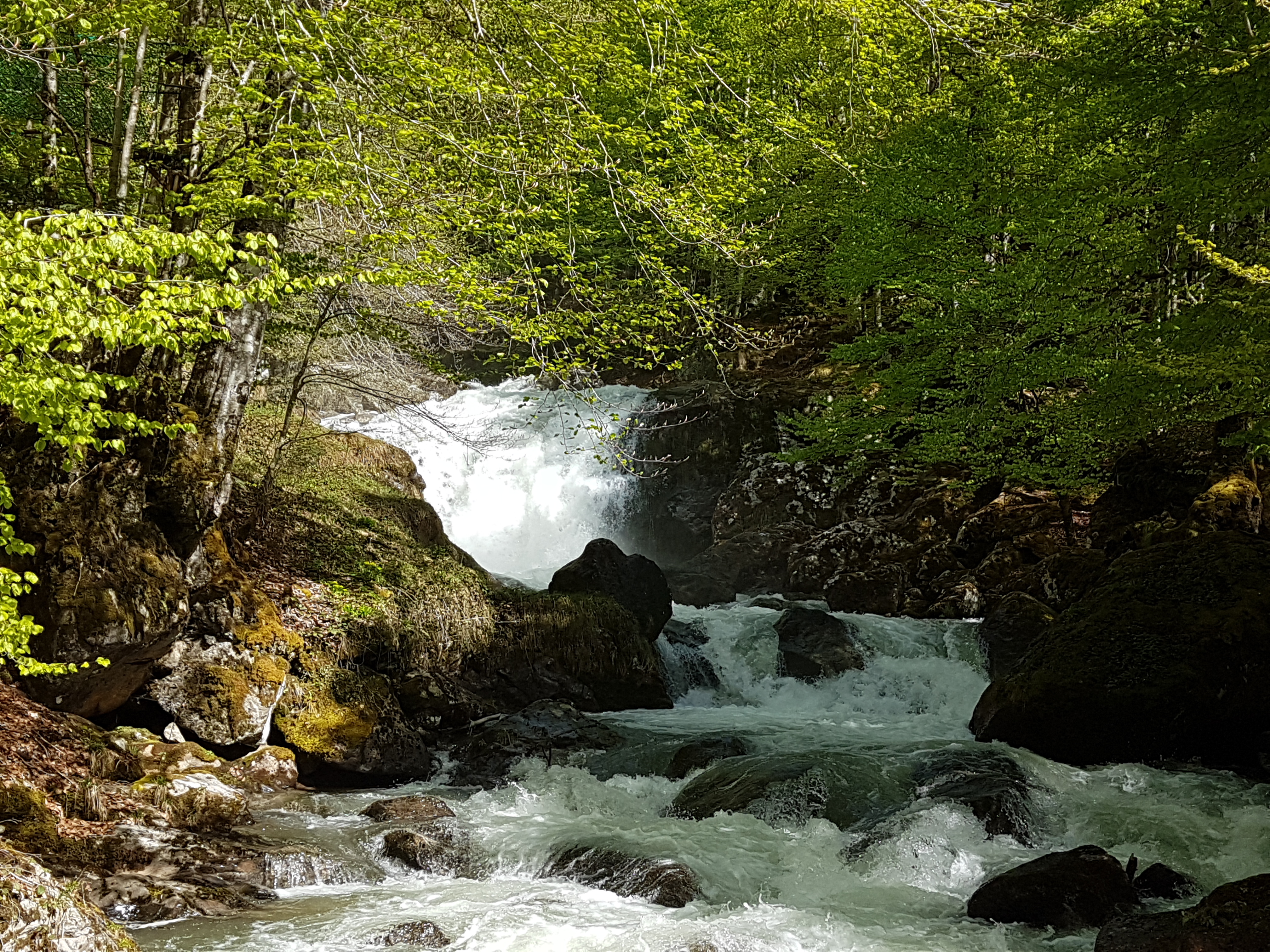 Photo n° 10 de l'avis de Nicole.i fait le 11/05/2018 à 06:42