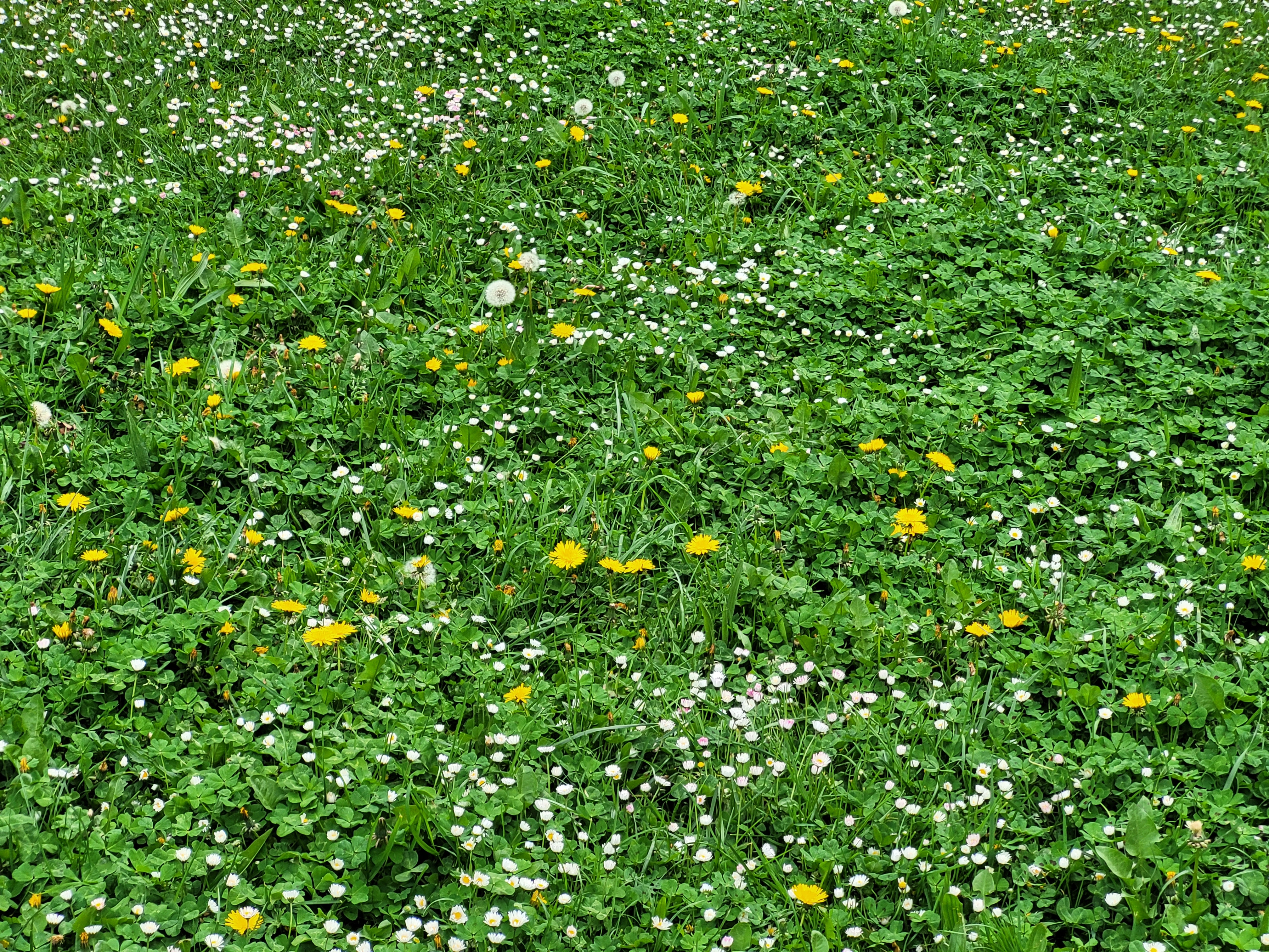 Photo n° 28 de l'avis de ernest.o fait le 17/08/2018 à 17:20