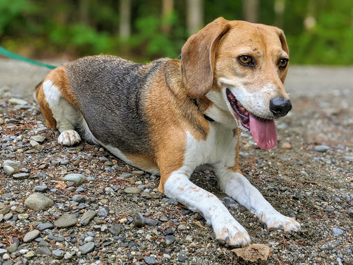 6890 US-11, Potsdam, NY 13676, USA