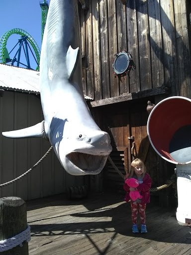 Amusement Park Ride «Pandemonium», reviews and photos, 947 Main St, Agawam, MA 01001, USA