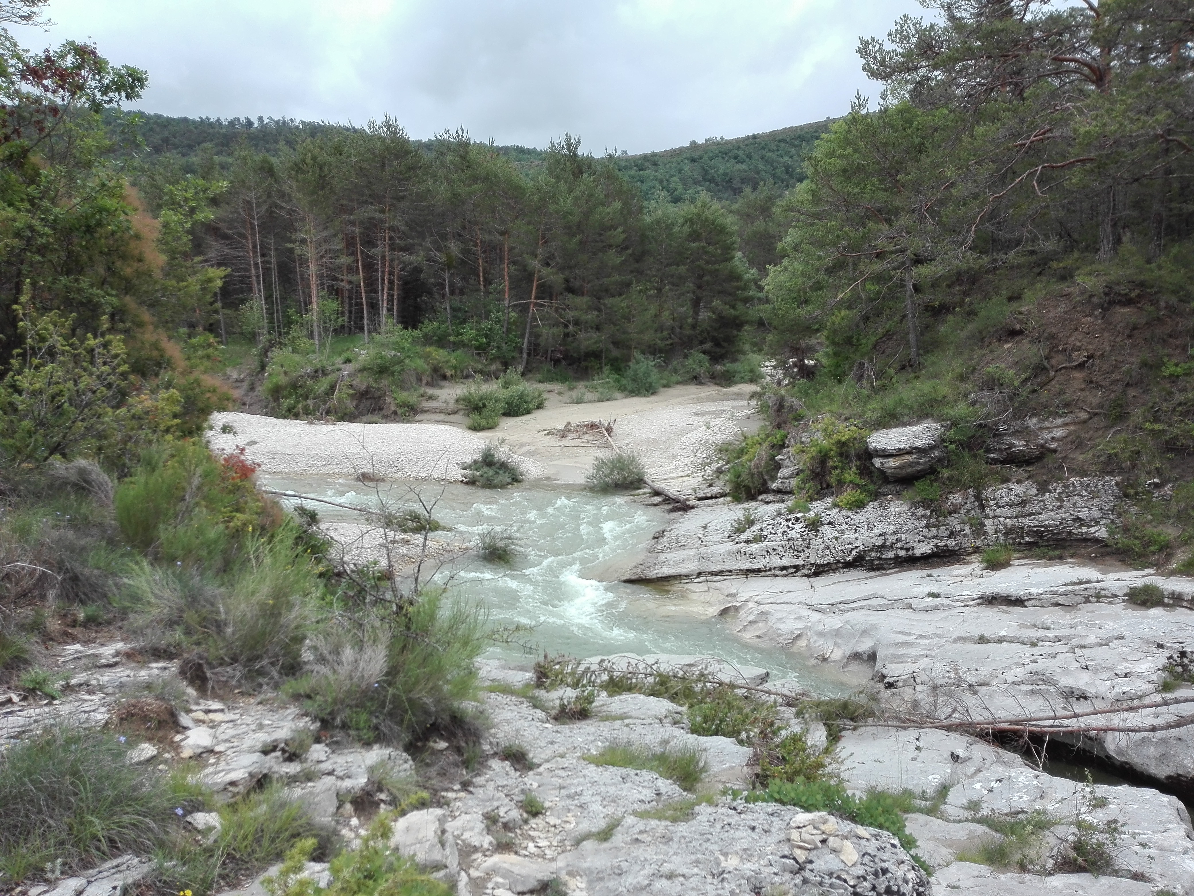 Photo n° 2 de l'avis de paisajes,.i fait le 01/07/2018 à 15:09