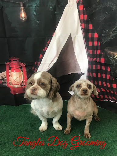 Tangles Dog Grooming