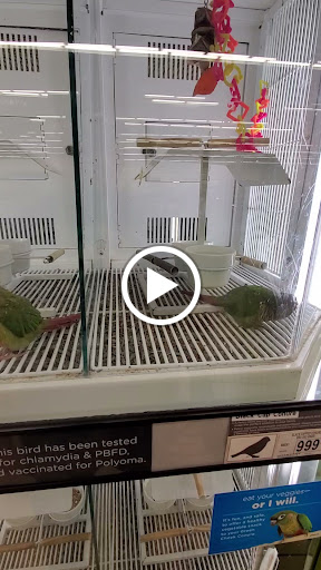 Pet Supply Store «Petco Animal Supplies», reviews and photos, 5717 Plank Rd, Fredericksburg, VA 22407, USA