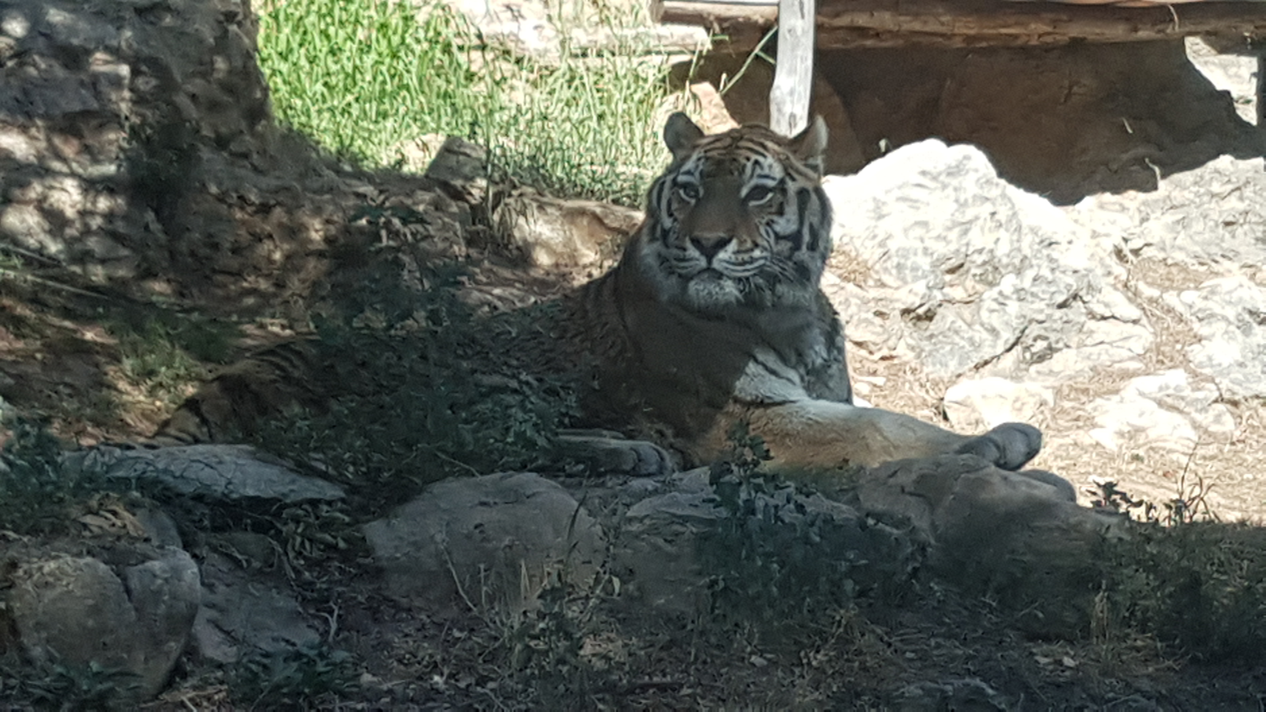 Photo n° 16 de l'avis de Dominique.A fait le 05/08/2017 à 15:53