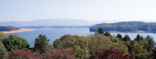 Non-Profit Organization «Better Business Bureau (BBB of Greater E TN)», reviews and photos