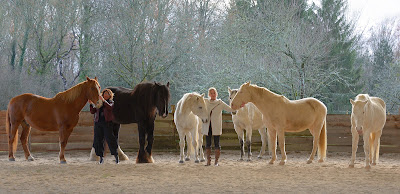 Equi New Humanity à Champoulet