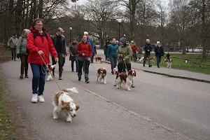 Slottsskogen Dog Park image