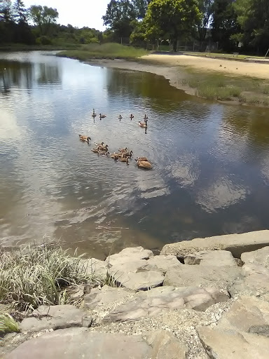 Park «Pickman Park», reviews and photos, 20 Lincoln Rd, Salem, MA 01970, USA