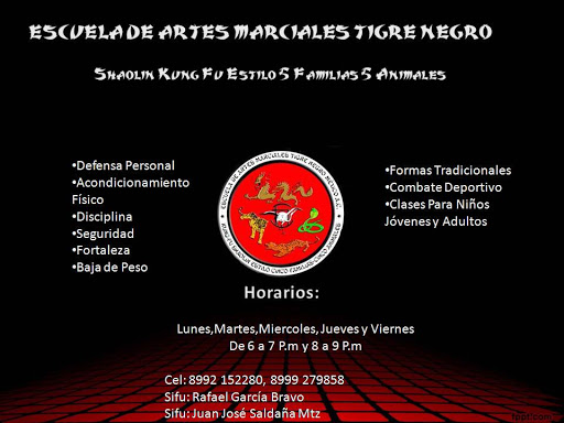 ACADEMIA TIGRE NEGRO REYNOSA