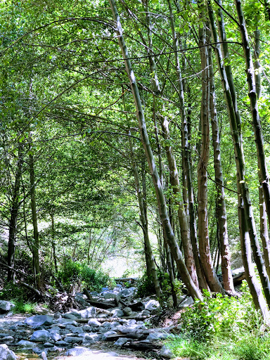 Nature Preserve «Eaton Canyon Nature Center», reviews and photos, 1750 N Altadena Dr, Pasadena, CA 91107, USA