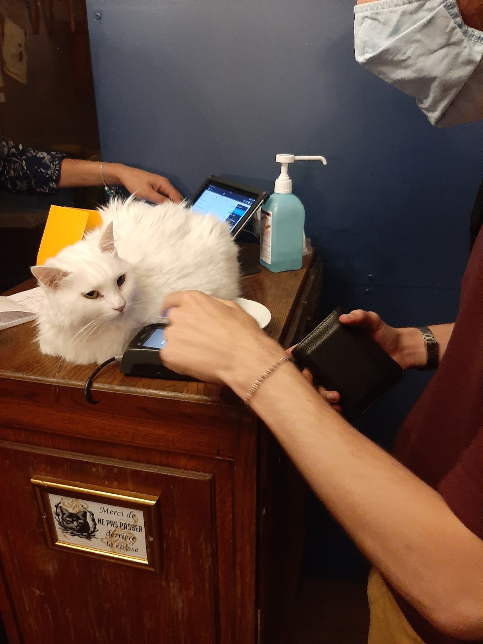 Photo n° 2 de l'avis de Clément.o fait le 10/08/2021 à 23:08