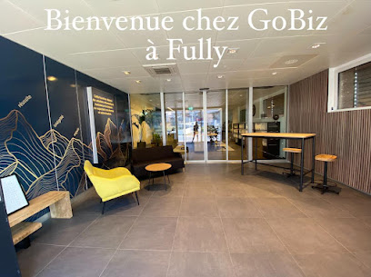 Gobiz Sàrl Informatique