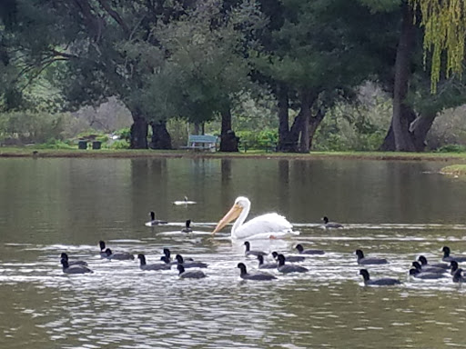 Park «Carbon Canyon Regional Park», reviews and photos, 4442 Carbon Canyon Rd, Brea, CA 92823, USA