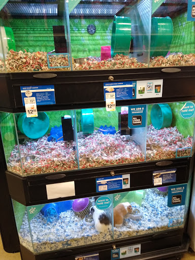 Pet Supply Store «PetSmart», reviews and photos, 15500 Panama City Beach Pkwy #340, Panama City Beach, FL 32413, USA