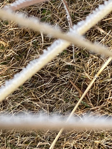 Nature Preserve «Leonard Preserve», reviews and photos, N Union St, Manchester, MI 48158, USA