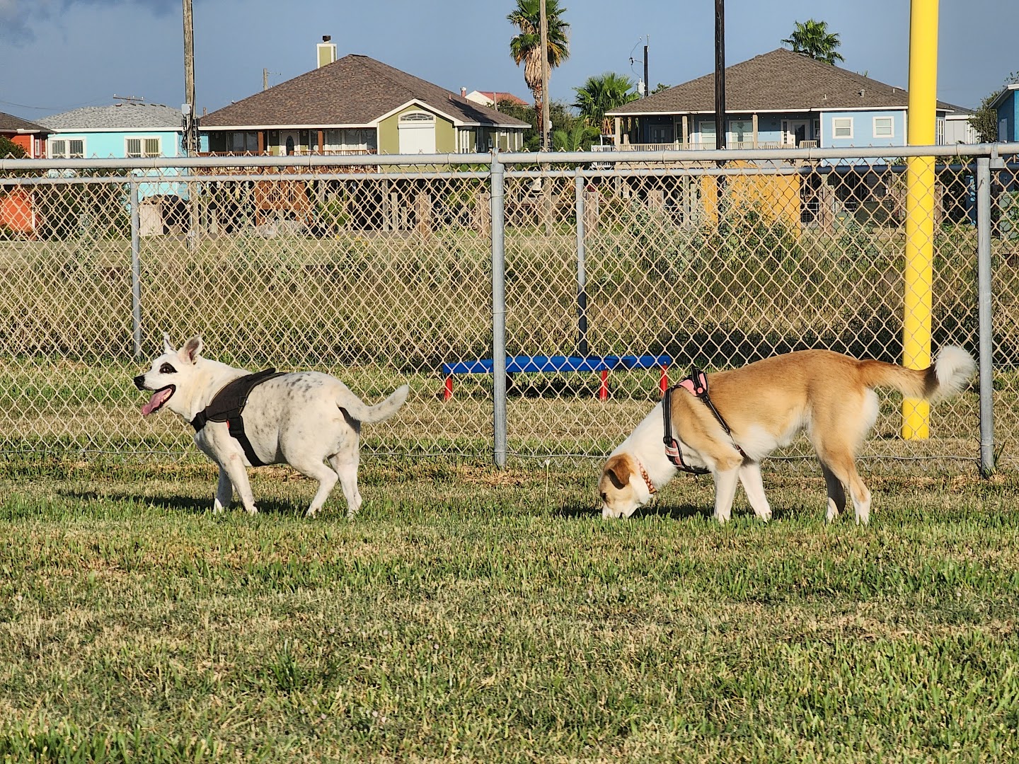 Aransas Pass Dog Park